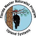 Upland Ecosystems